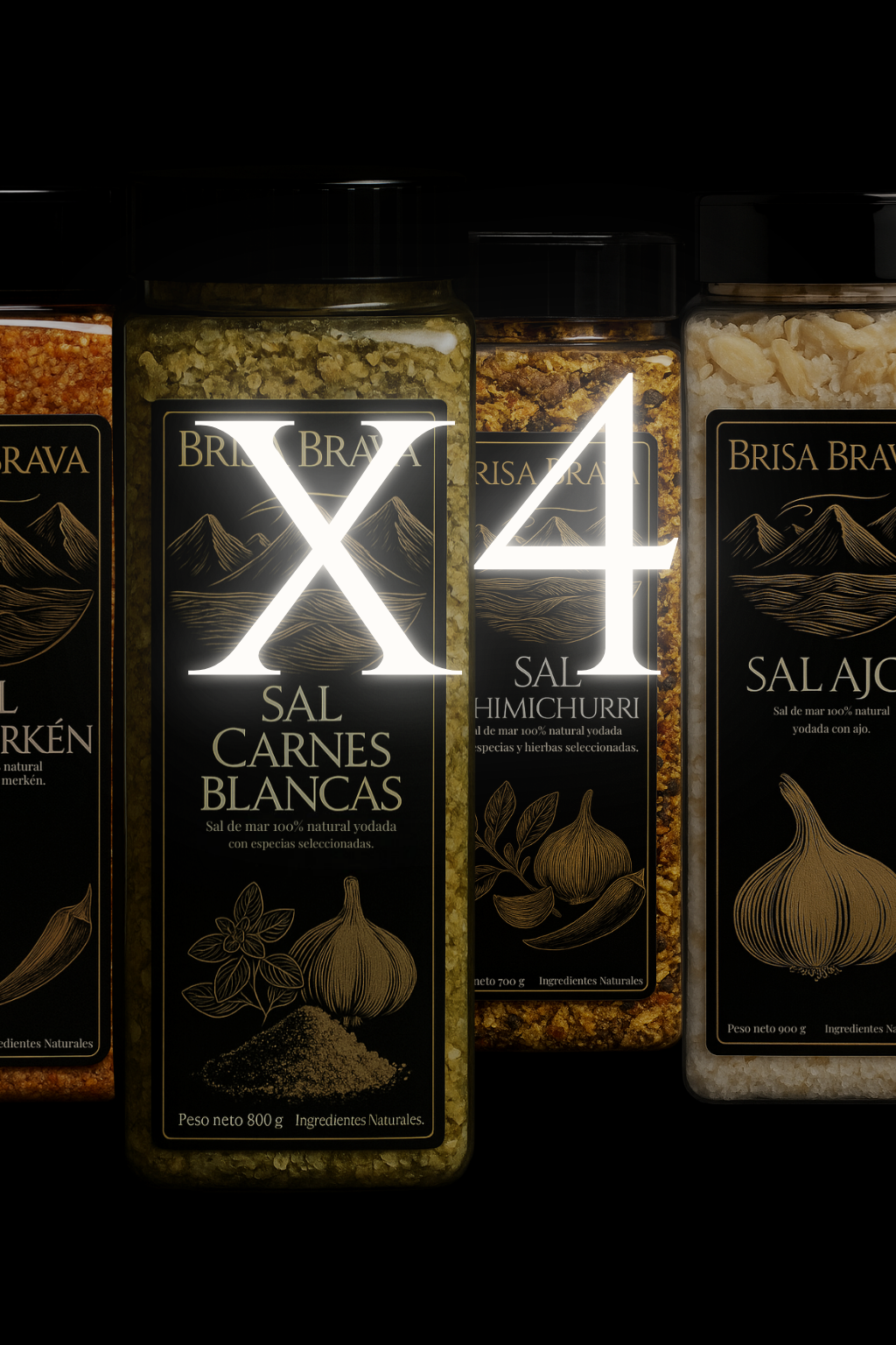 Pack X4 Frascos - Sal Premium